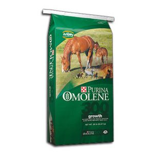 Purina Omolene 300 Horse Feed Purina Omolene 300 Horse Feed