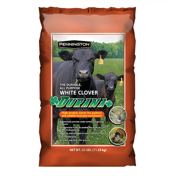 pennington-durana-white-clover-cherokee-feed-and-seed-georgia