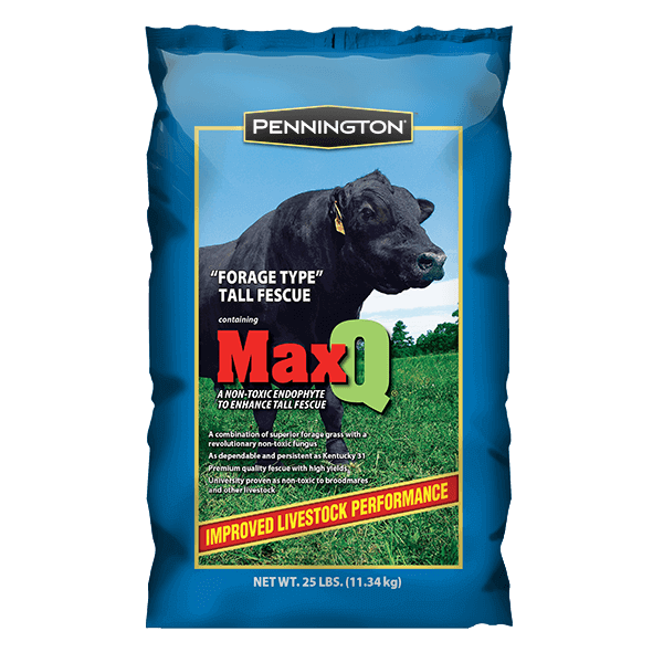 pennington-jesup-maxq-tall-fescue-cherokee-feed-and-seed-georgia
