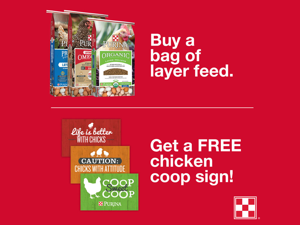 Join us for Flock-Tober at North Fulton Feed & Seed in Alpharetta, GA Join us for Flock-Tober at North Fulton Feed & Seed in Alpharetta, GA