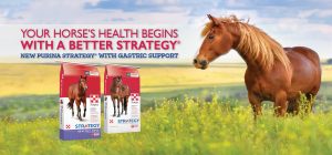 No Fulton Feed_New Look Purina Strategy_Slider