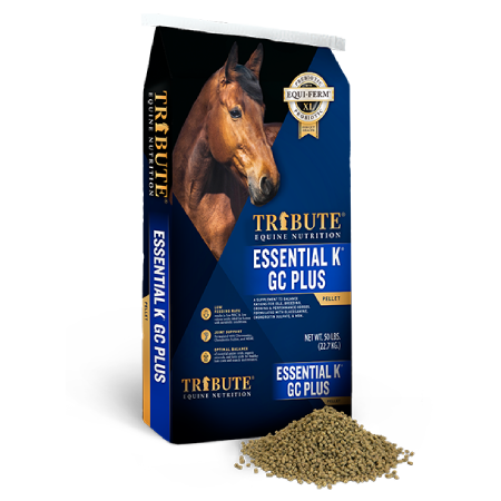 Tribute Essential K GC Plus Equine Feed | North Fulton Feed & Seed