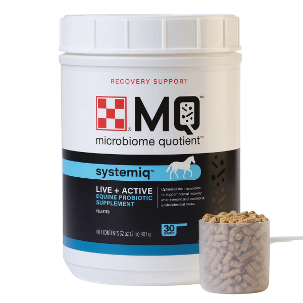 Purina MQ Equine Microbiome Systemiq 2-lb container.